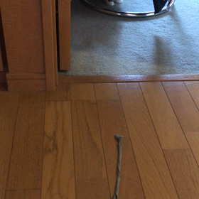 宝くじ　携帯容量が、またまたいっぱいで…の画像