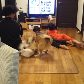 ソルトん事情の画像