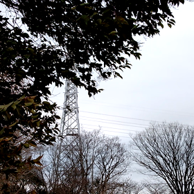 散歩に～の画像