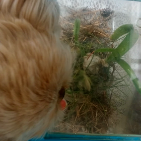 毎年恒例の画像