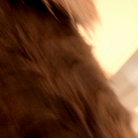 ❤︎(音注意)雨もしたたる？❤︎の画像