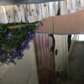 過去の動画をまとめてみた(・∀・)の画像