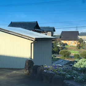 4/2雪降りましたの画像