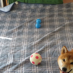 ピーピーピーの画像