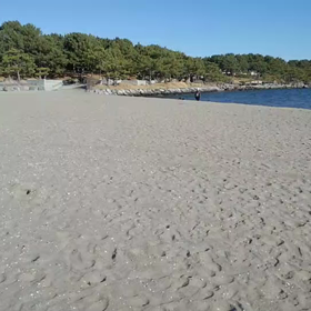 走る　はしるの画像