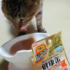 今日のリクの画像