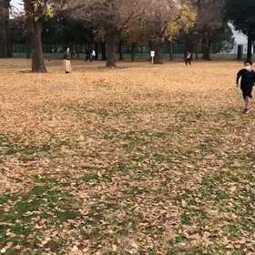 1000m２組目&1500m⑫の画像