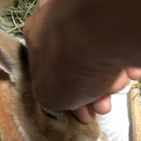 モカっ記  2018-4-2の画像