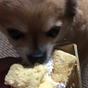 モグモグtimeの画像