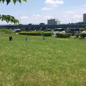 Ｂチームバトン練習⑨の画像