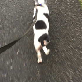 牛郎頑張ってます！の画像