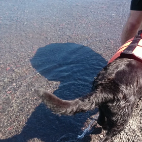 虹が出ますの画像