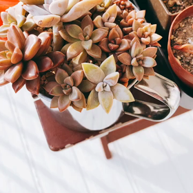 インフルエンザA型_:(´ཀ`」 ∠):の画像