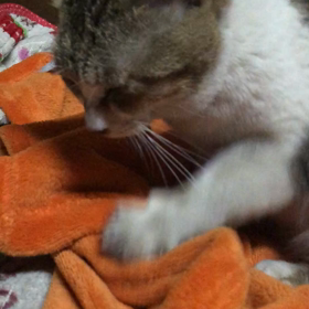 癒されるぅ☺️の画像