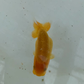 雨が降らない‼️の画像