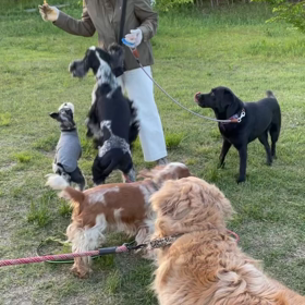 オヤツ行脚の画像