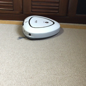 ウメのお友達シロ君ですの画像