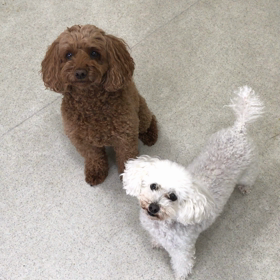 ♪プレイルーム動画♪①の画像