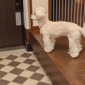 どうかなぁの画像