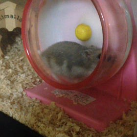 走りませんか？の画像