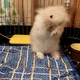 ◎きれい好き◎の画像