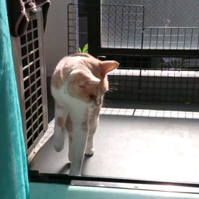 隣のムック♪の画像