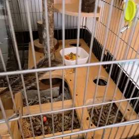 おひさしです_(:3 」∠)_の画像