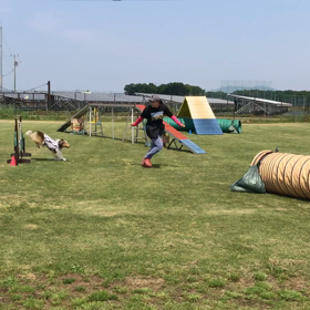 5/19(木) アジ練の画像