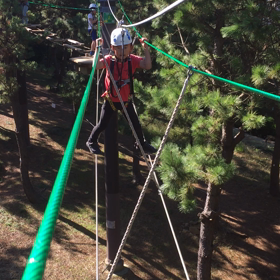 SARUTOBI動画の画像