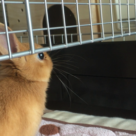 Happy Birthdayの画像