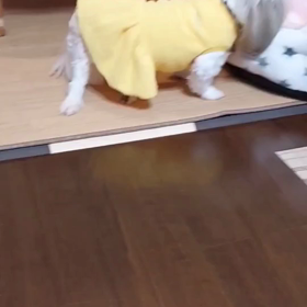 miracle girlの。。の画像