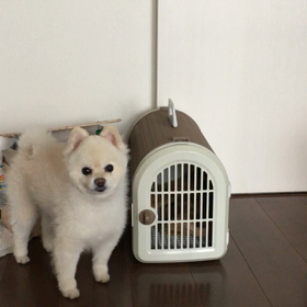 家の鍵開けるぢょー！！の画像