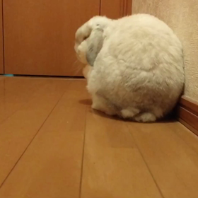 ひとりで遠出〜の画像