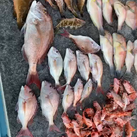 令和３年９月２日(木)　☀晴の画像