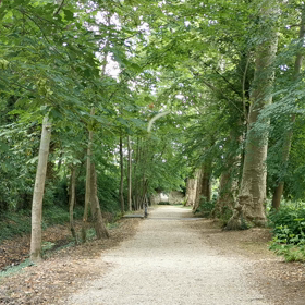 天使の舞いの画像