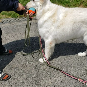 六花ちゃんとの戯れ☺️の画像