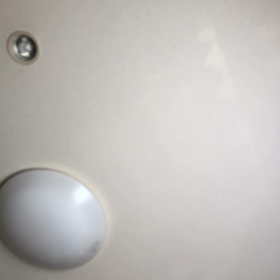 KTTとピーちゃんの恋の画像