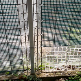 日向ぼっこの画像