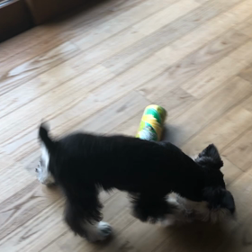 つけっぱなし生活！の画像