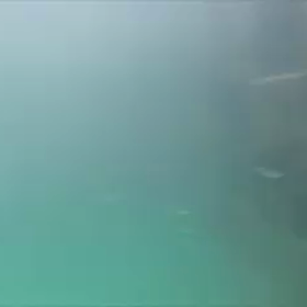 いやらしいコだねぇ。の画像