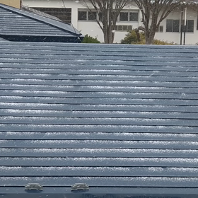 とうとう、白いものがの画像