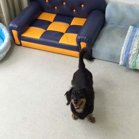 ♪プレイルーム動画♪①の画像