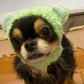 きっとあなたは笑顔になれるの画像