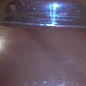 新しい仲間の画像