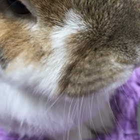 無機質な表情の画像