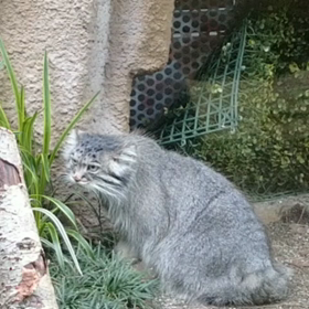 GOTOキャンペーンの画像