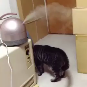 愛ちゃんが突然興味を持ちました（≧∇≦）の画像