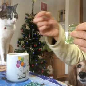 私の布団の横チップとデールの入れ替えに？娘、いつもの朝の画像