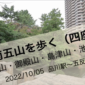 久しぶりにウォーキングの例会に参加の画像