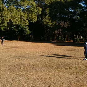 ジャベリック⑤の画像